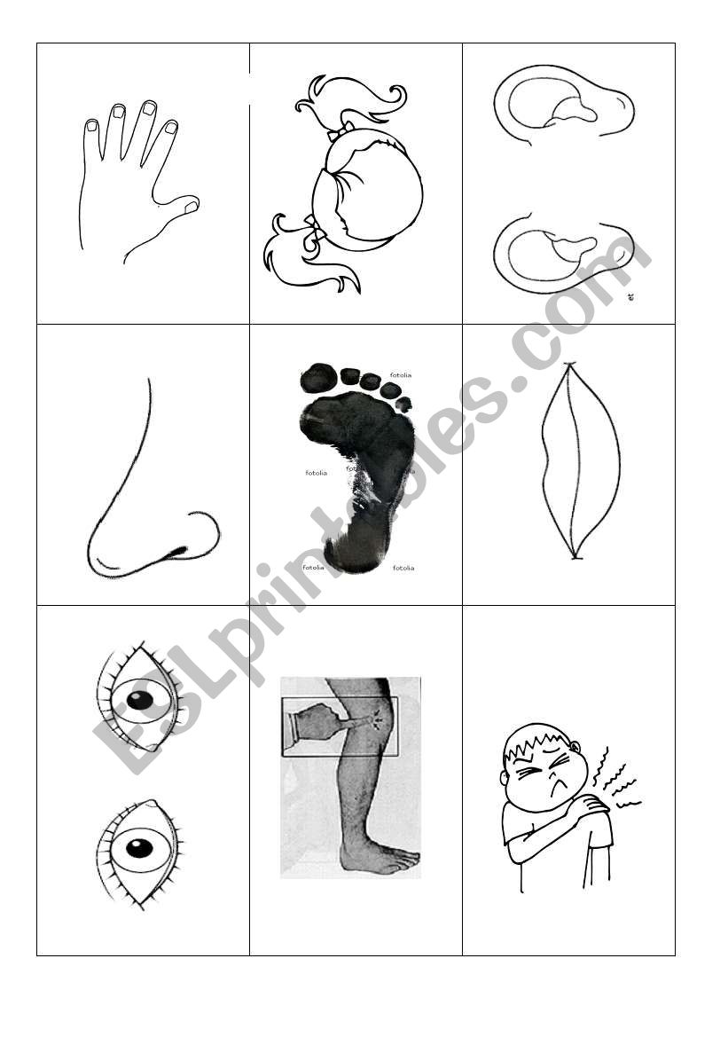 loteria body parts worksheet