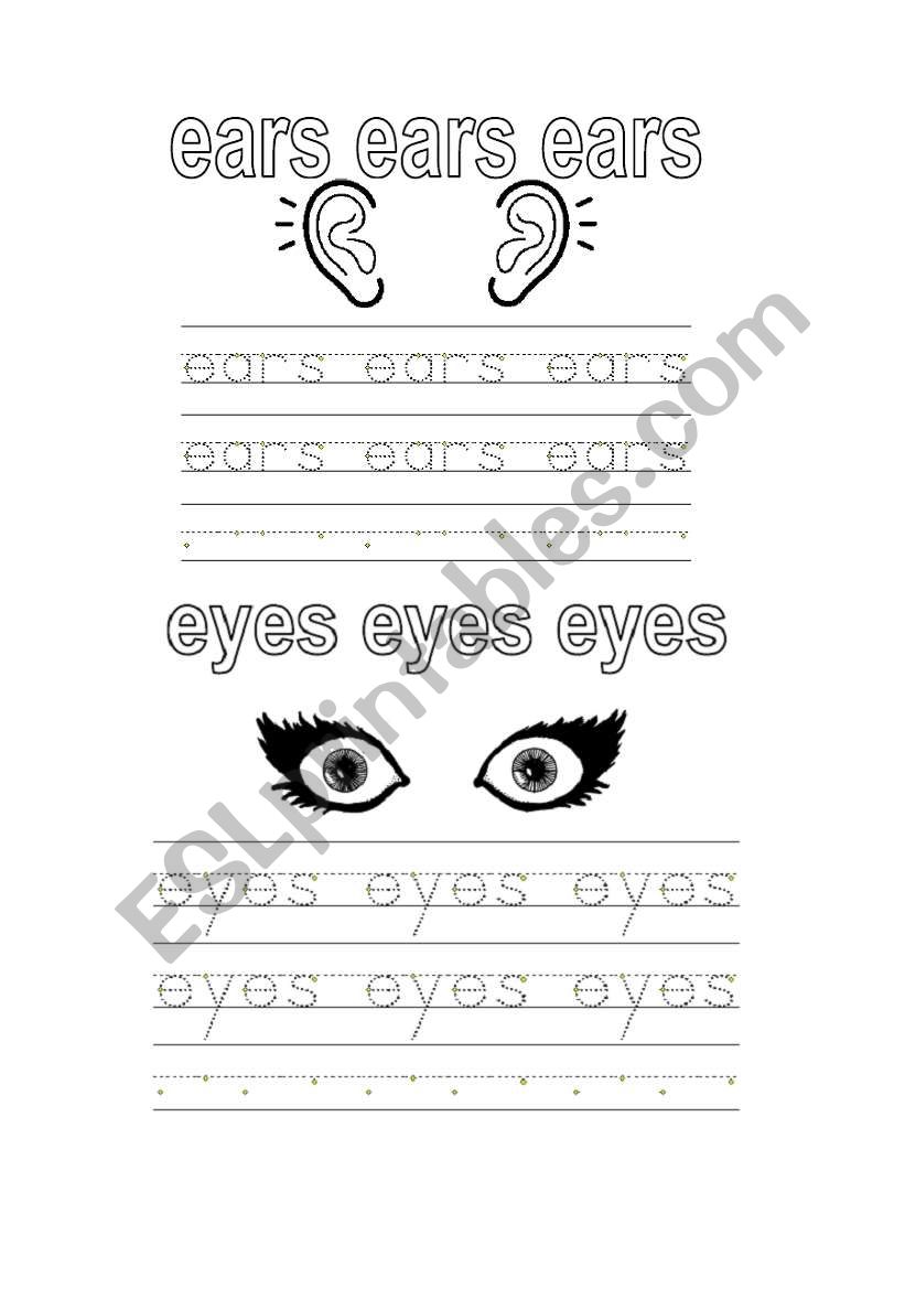 eyes worksheet