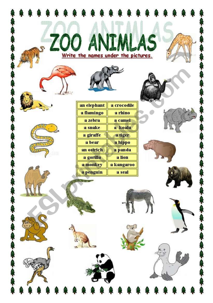 ZOO animals - ESL worksheet by Myszka