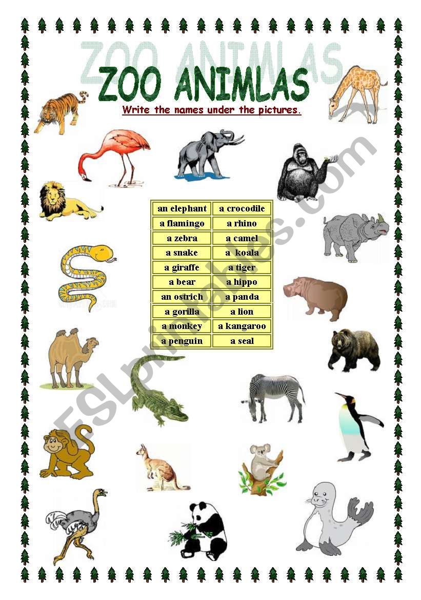 ZOO animals worksheet