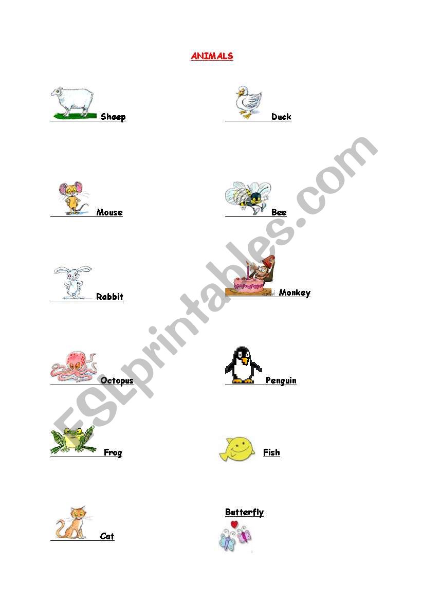 animals worksheet