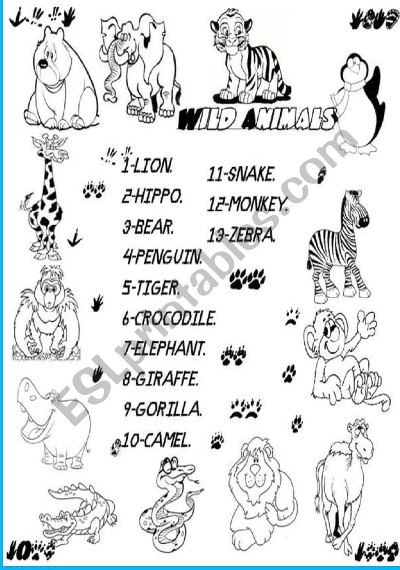 wild animals worksheet