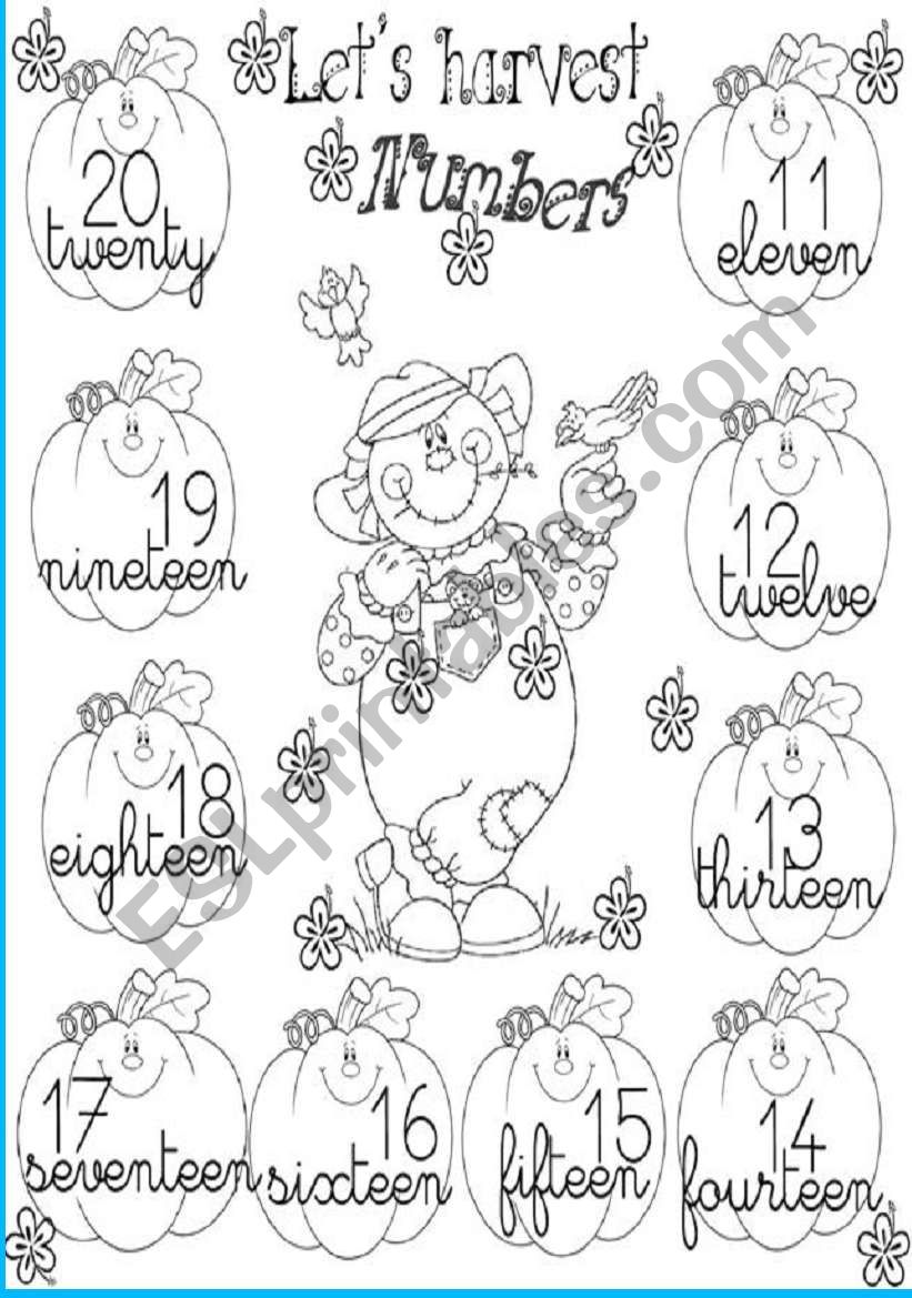 numbers from 11 to 20 worksheet