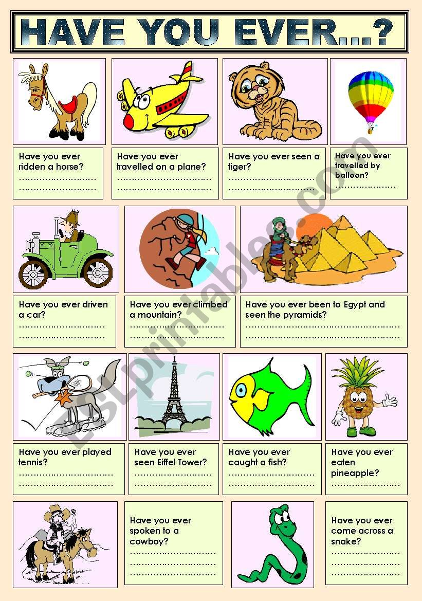 HAVE YOU EVER...? worksheet
