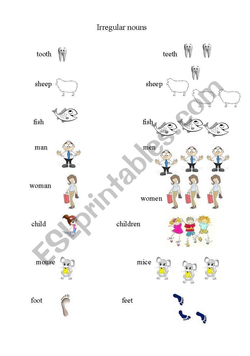 Irregular plural worksheet