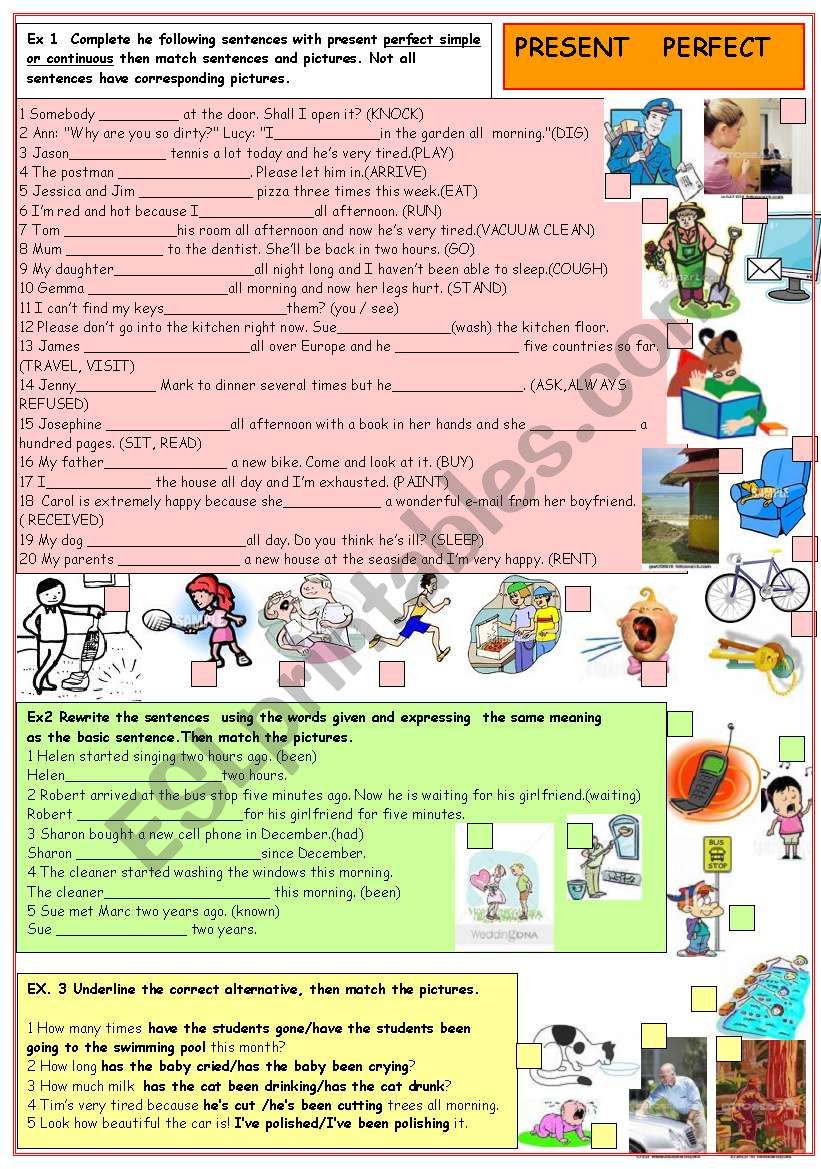 Present perfect worksheet