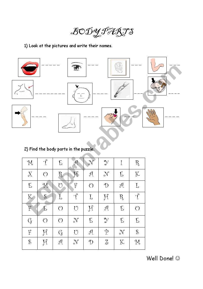 Body Parts worksheet