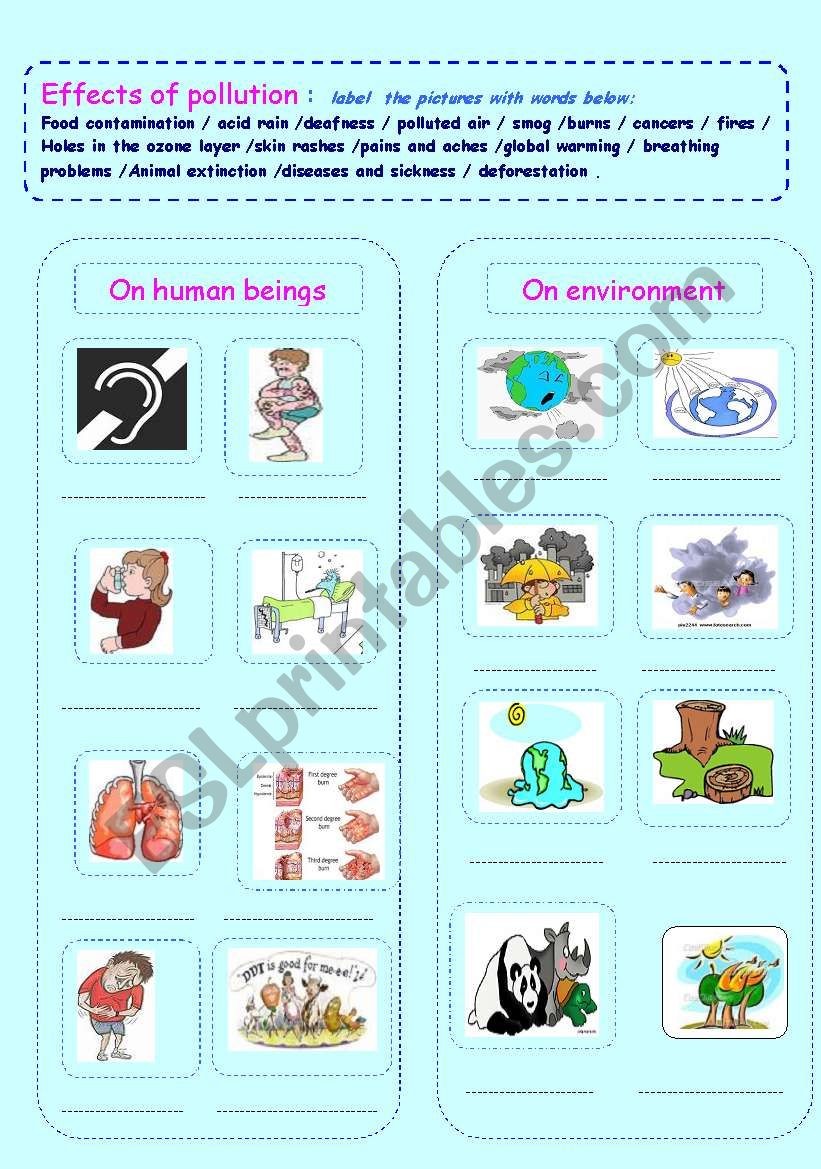 effects of pollution on human beings and environment