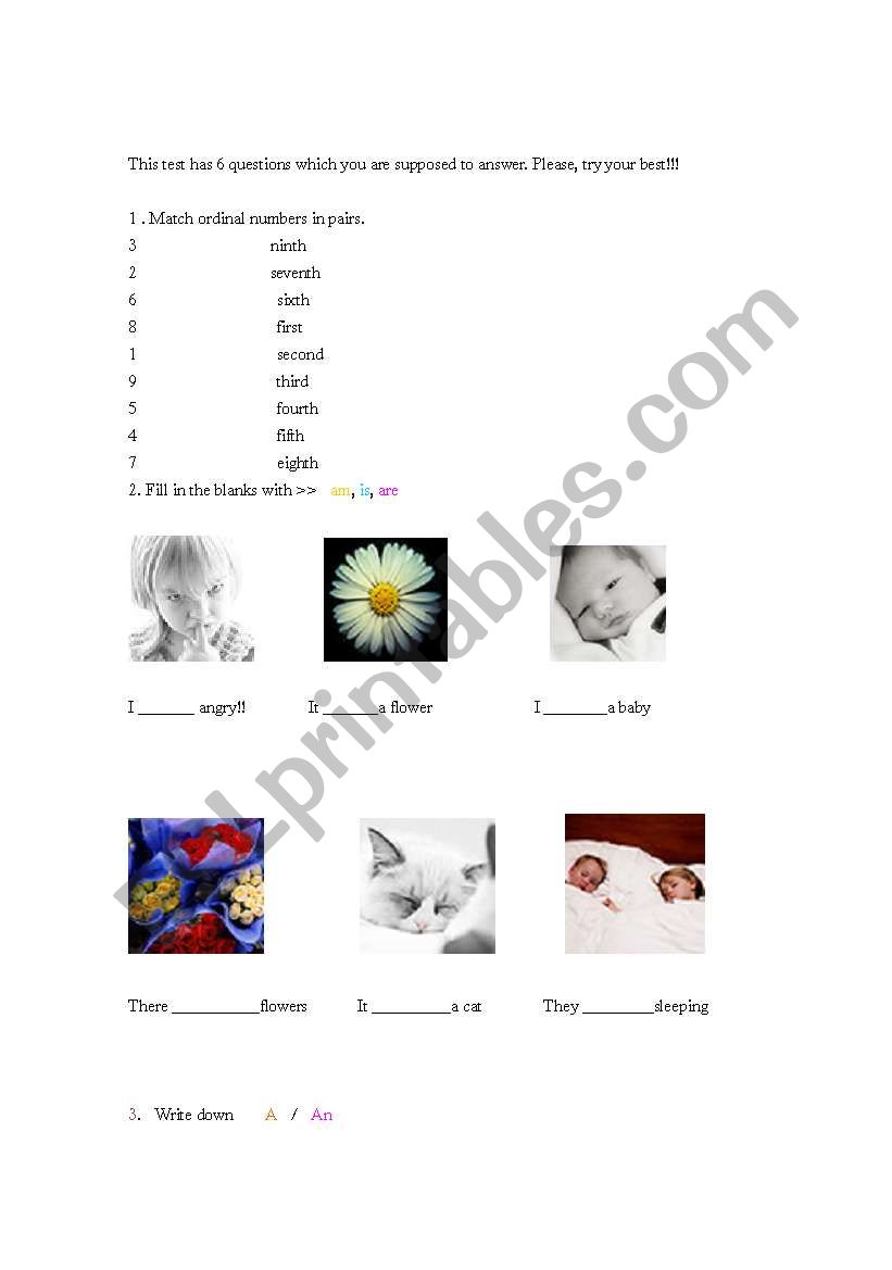 Test fo beginners worksheet