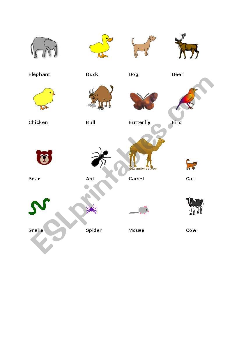 animals 2 worksheet
