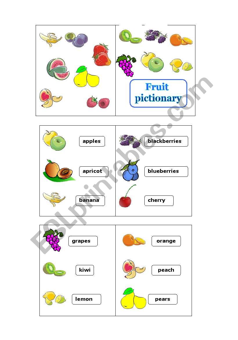 FRUIT PICTIONARY MINI BOOK (plus bw version)