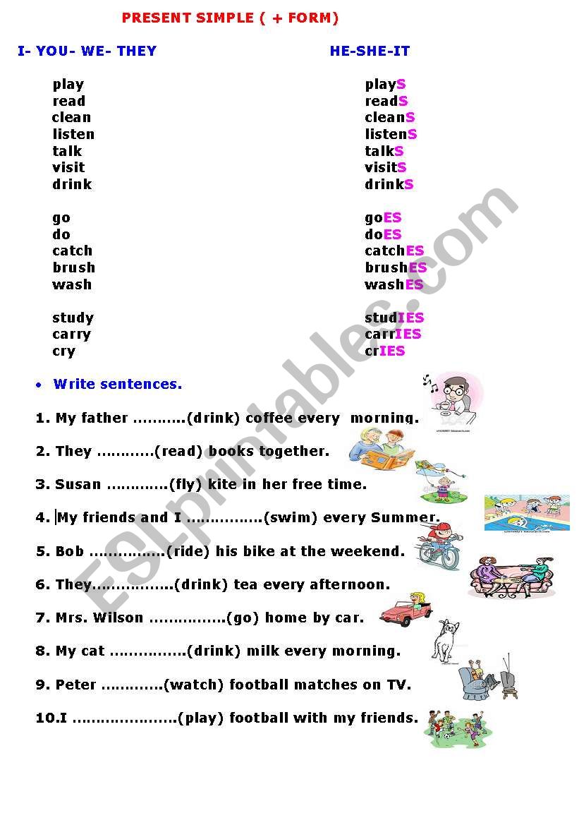 present smple worksheet