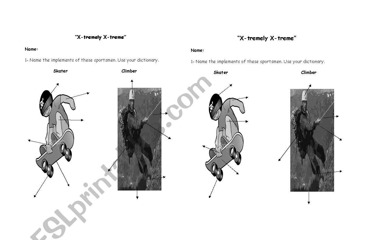 Extreme sports worksheet