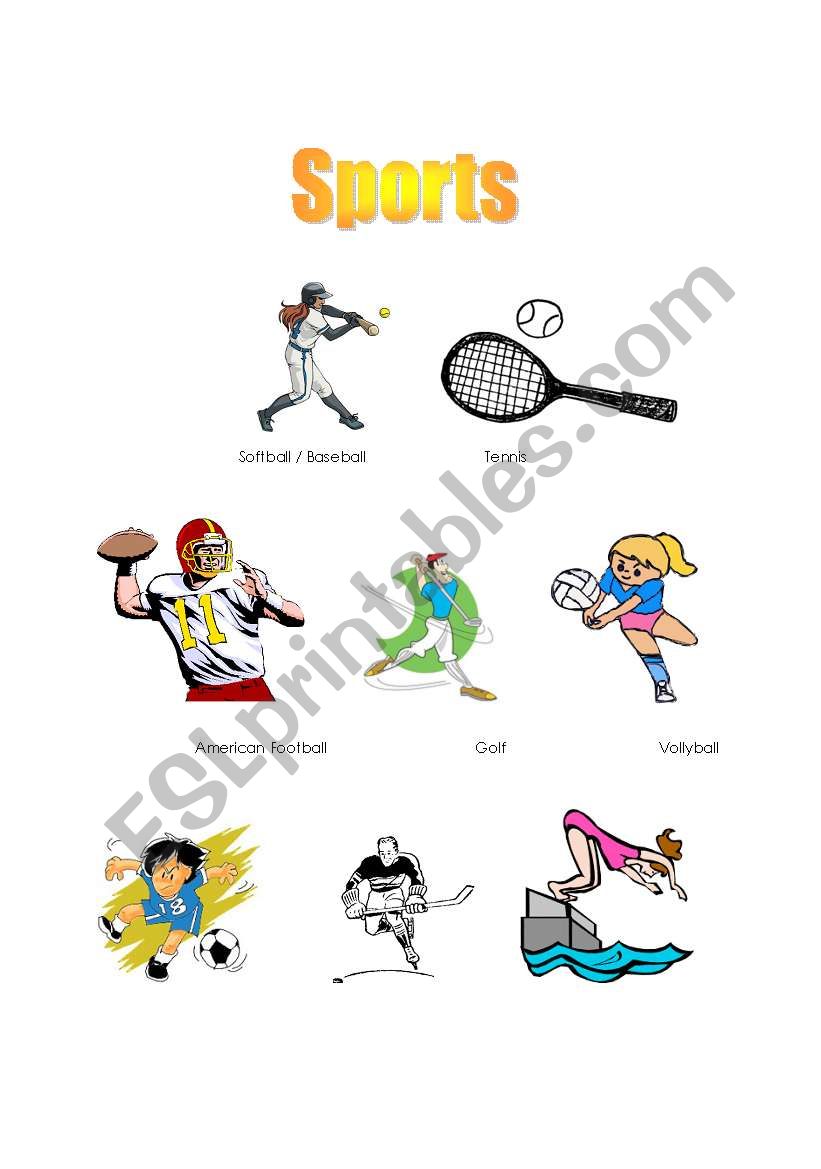 Sports Vocab worksheet