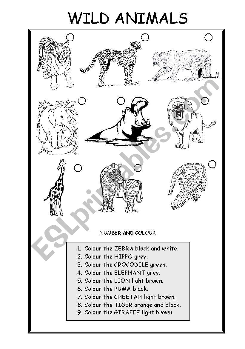 ANIMALS (WILD ANIMALS) worksheet