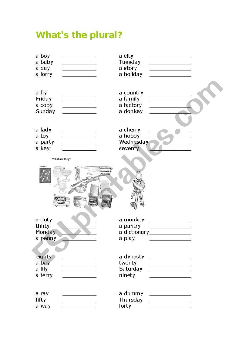 Plural of words ending y worksheet