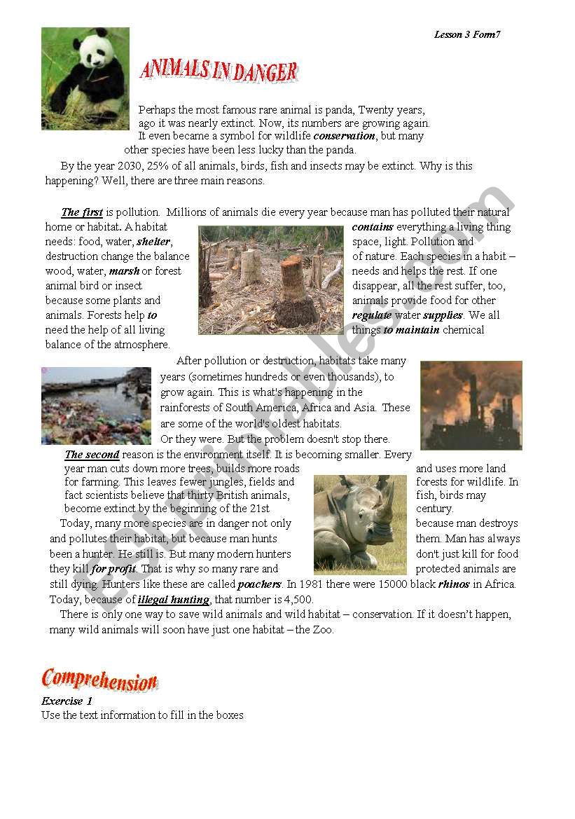 Animals In Danger worksheet