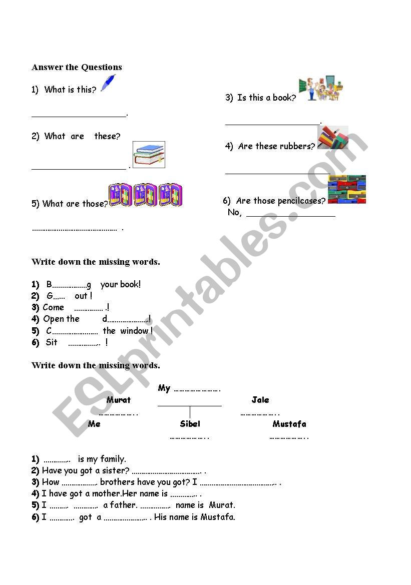 answer the questions worksheet