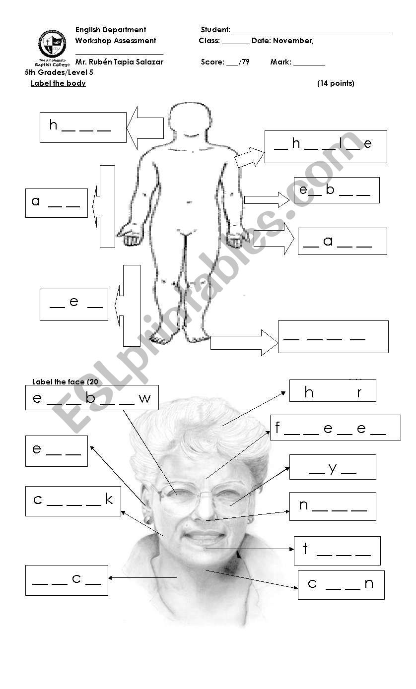 body worksheet worksheet