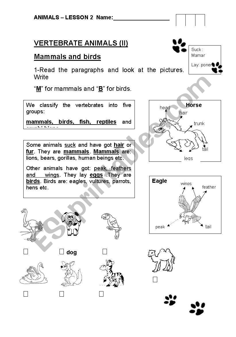 Mammals and birds for all worksheet