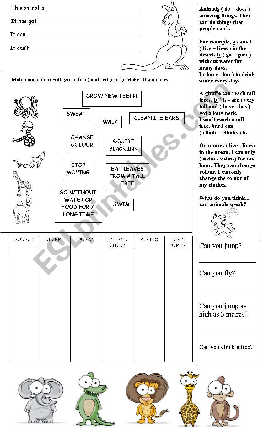 Animals + Can-Cant worksheet