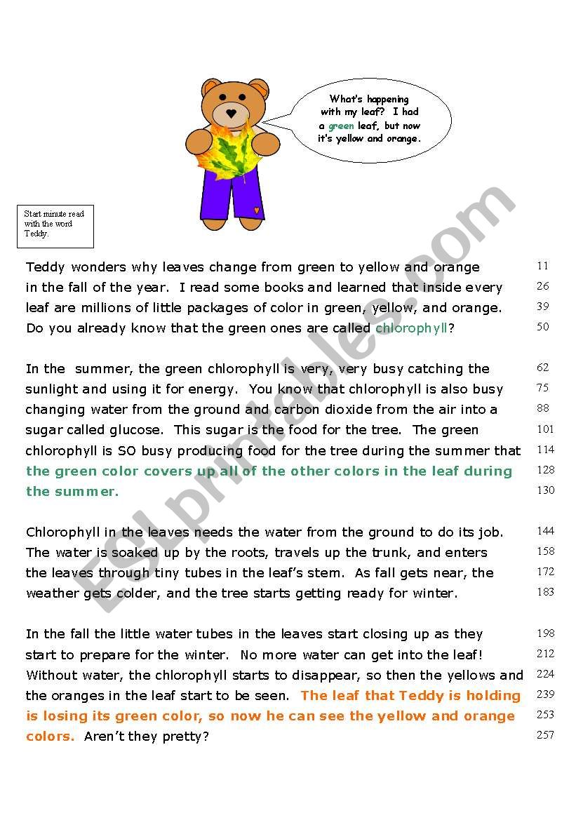 English worksheets: Why Do Leaves Change Color?