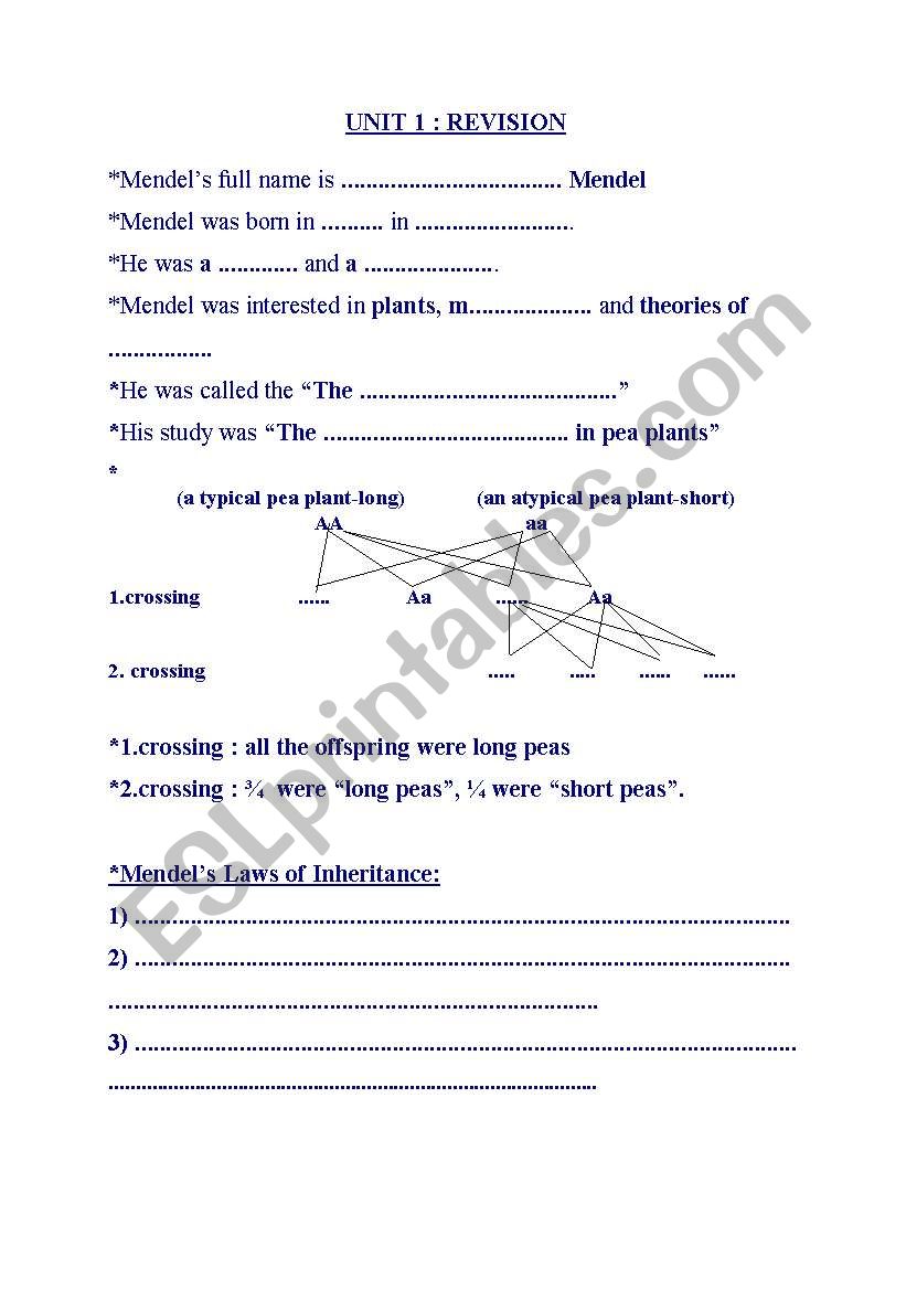 academic worksheet
