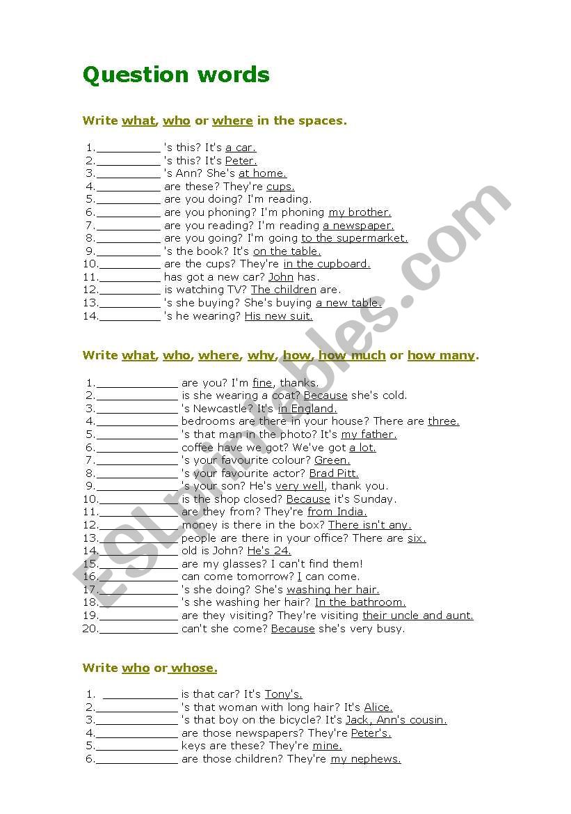 Question words worksheet