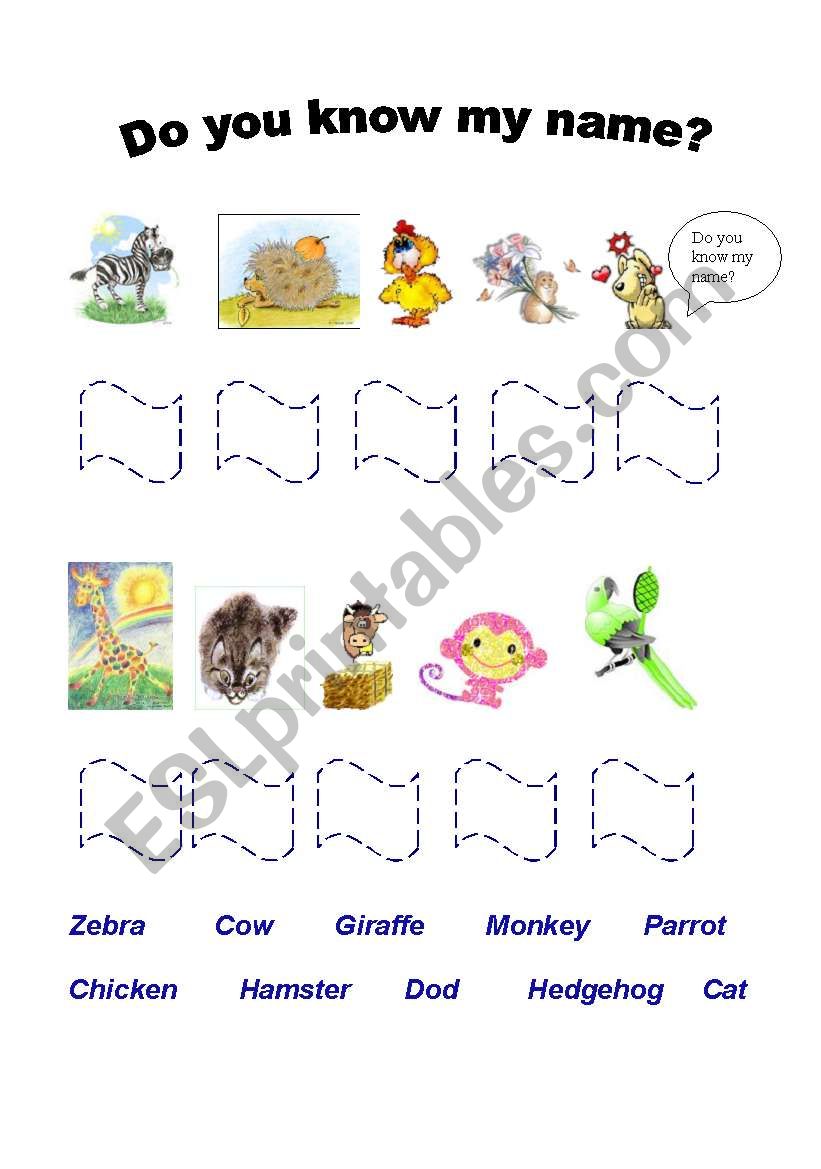 Animals worksheet