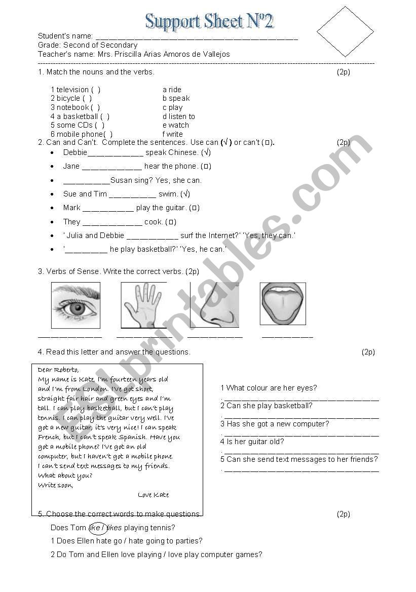 SUPPORT SHEET worksheet