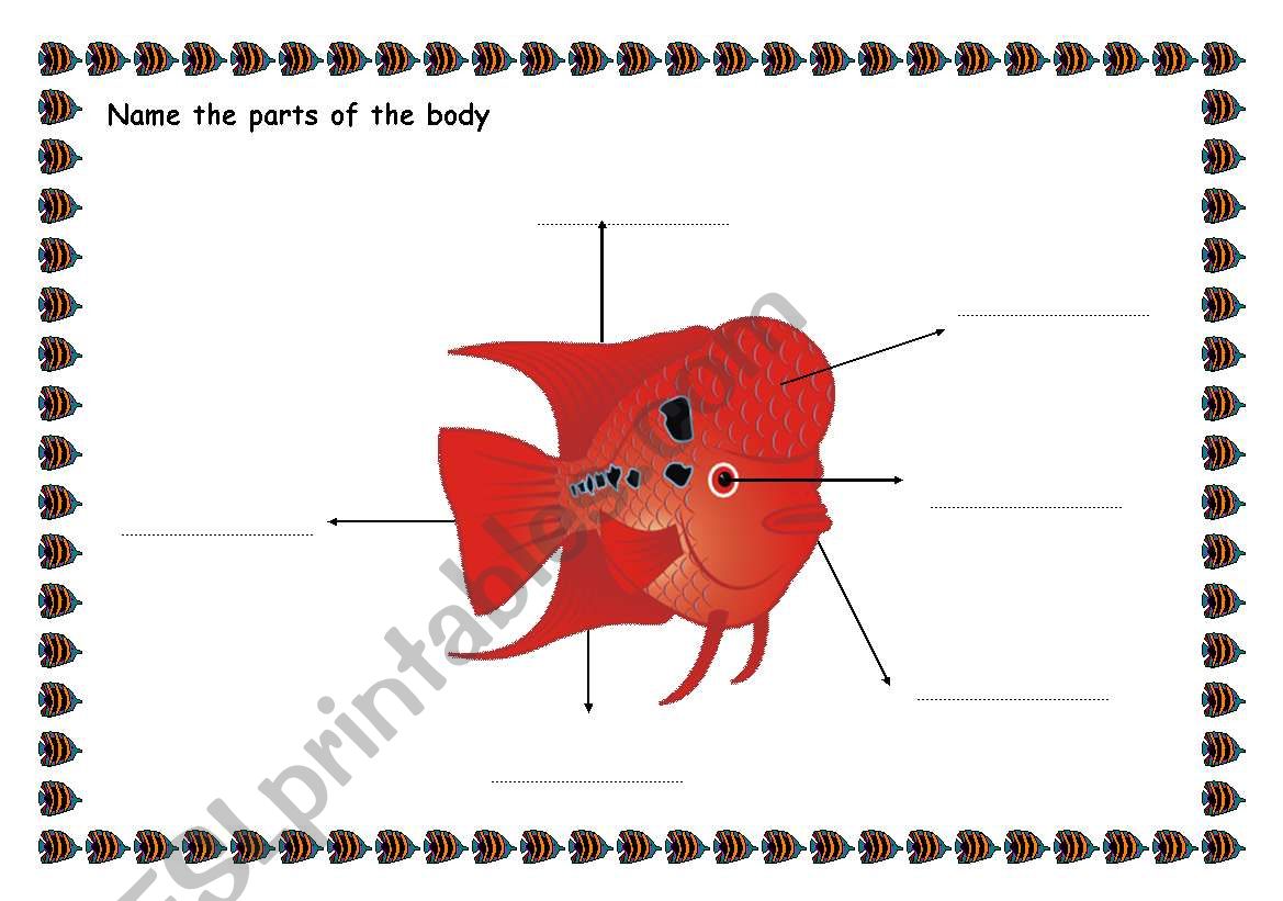 ANIMALS: PARTS OF THE BODY worksheet