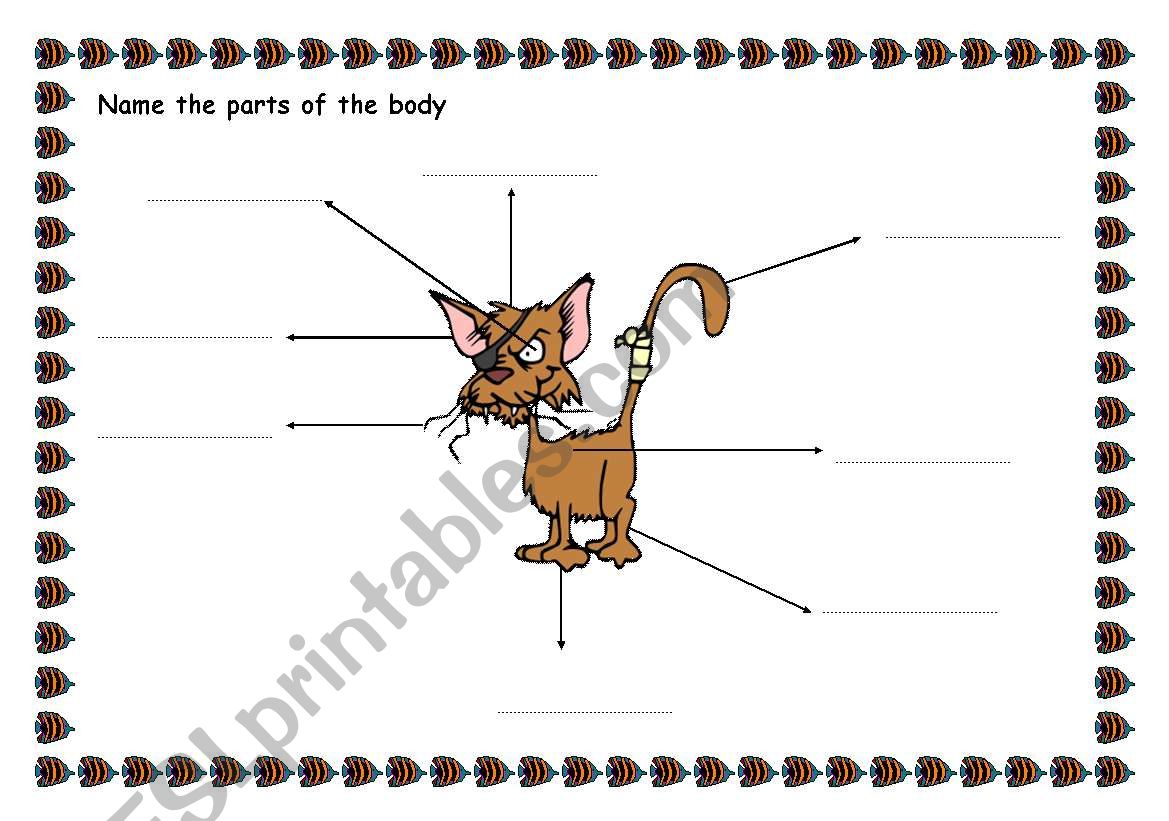 ANIMALS: PARTS OF THE BODY worksheet