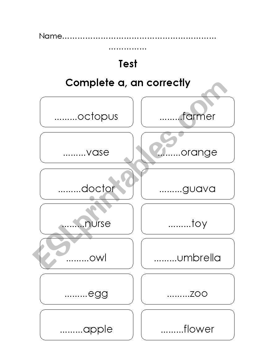 a,an worksheet