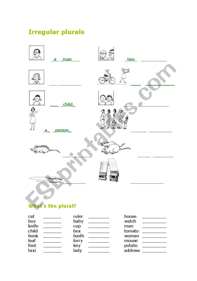 Irregular plural exercises worksheet