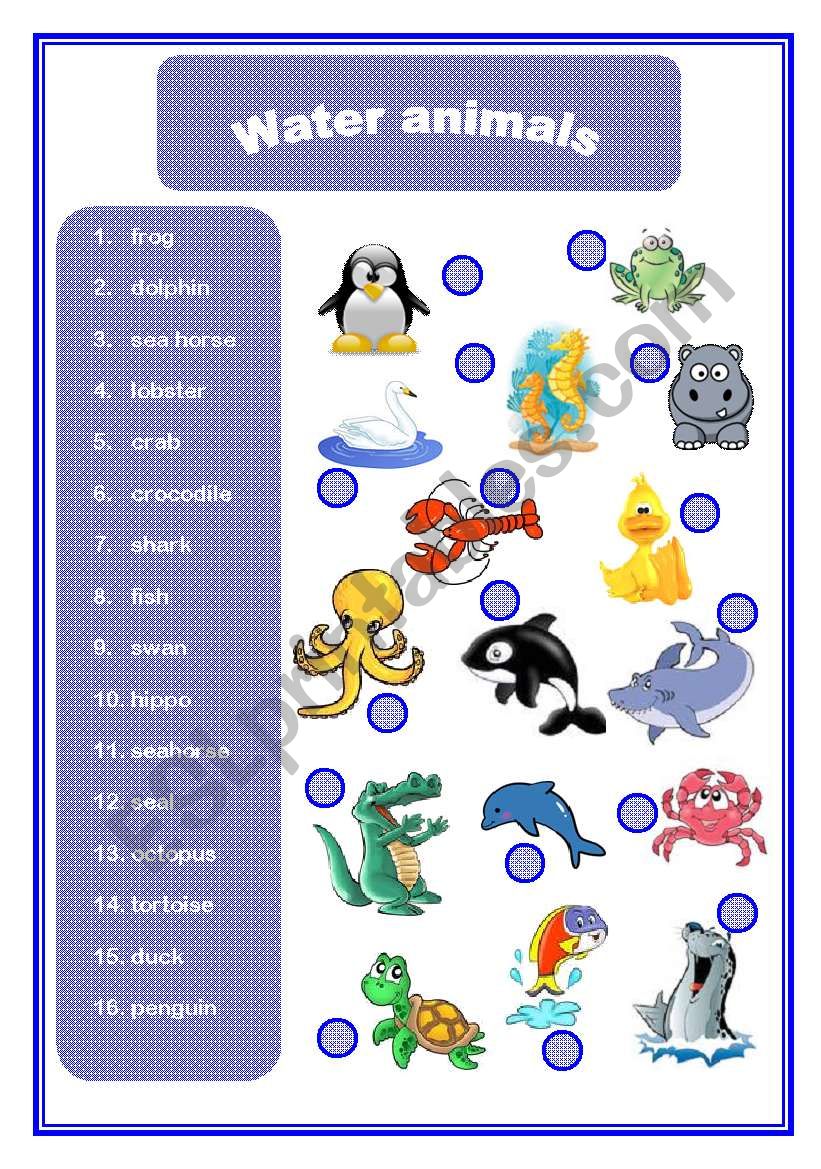 Water animals worksheet