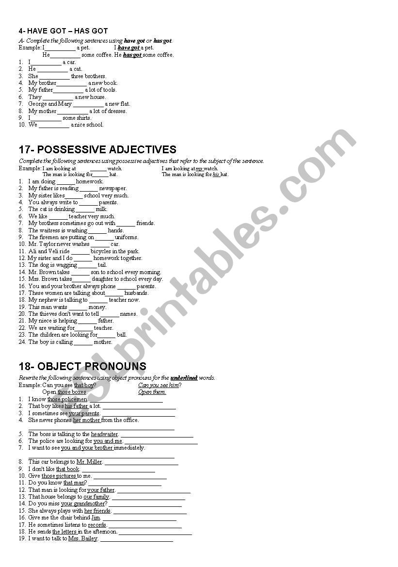 worksheett worksheet