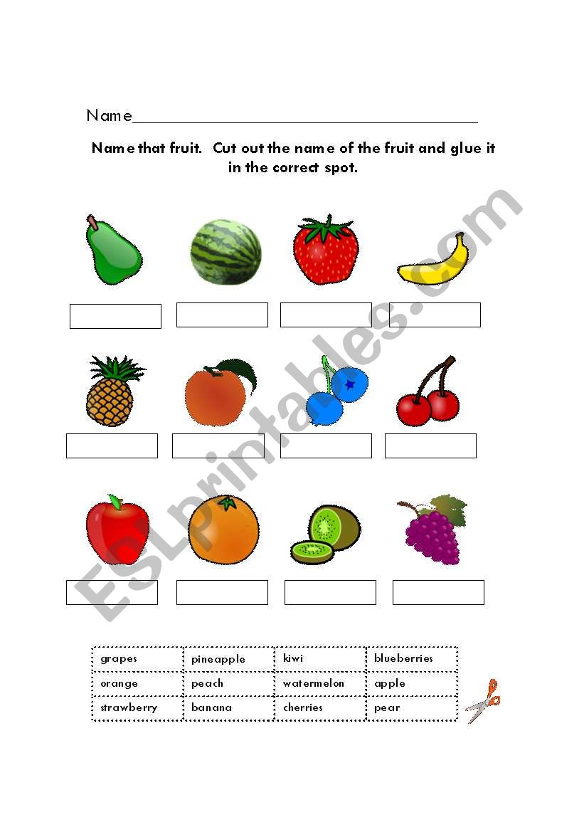 fruit worksheets worksheet