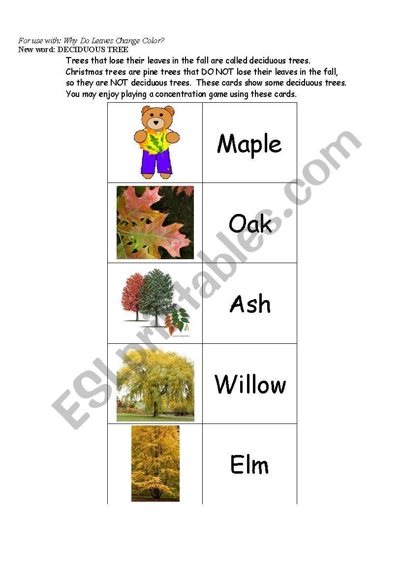 Concentration Game - followup to Why Do Leaves Change Color?