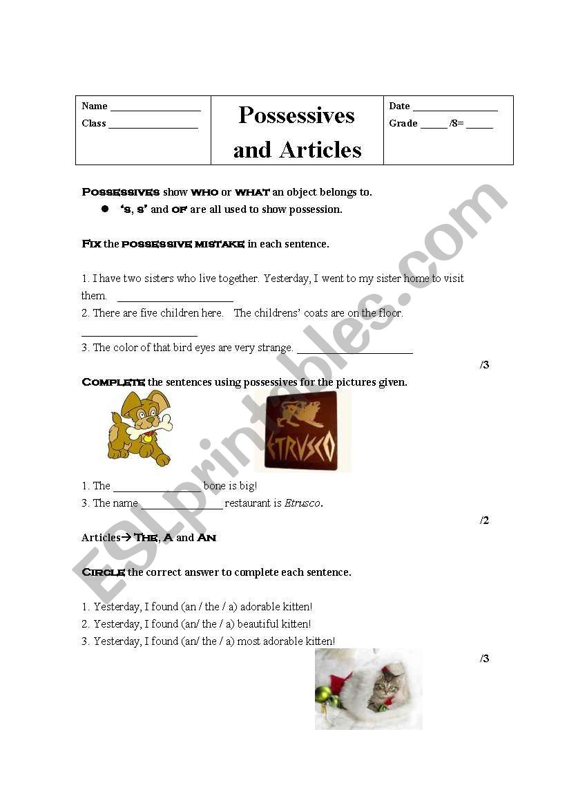 Possessives and Articles worksheet