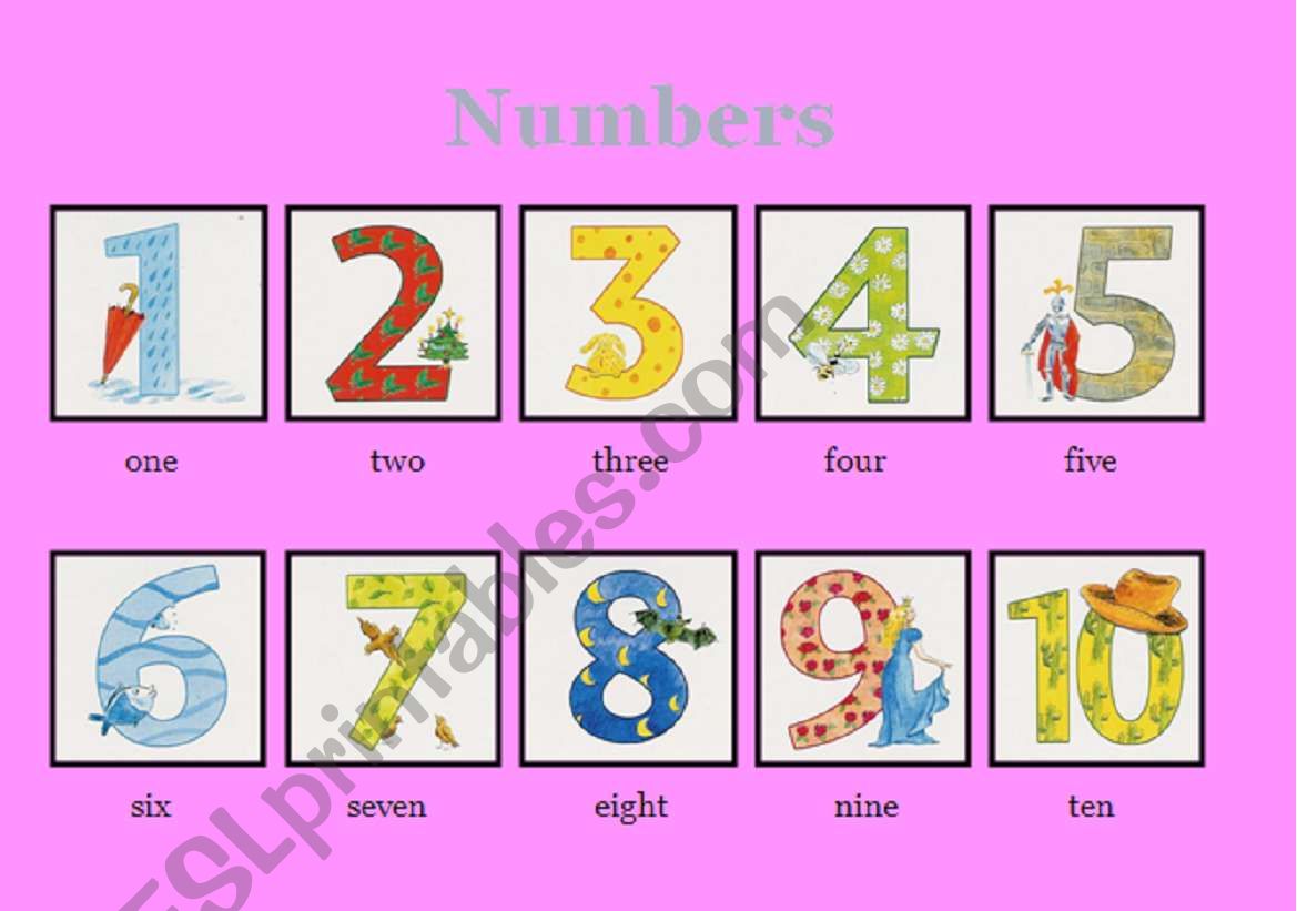 Numbers 1/2 worksheet