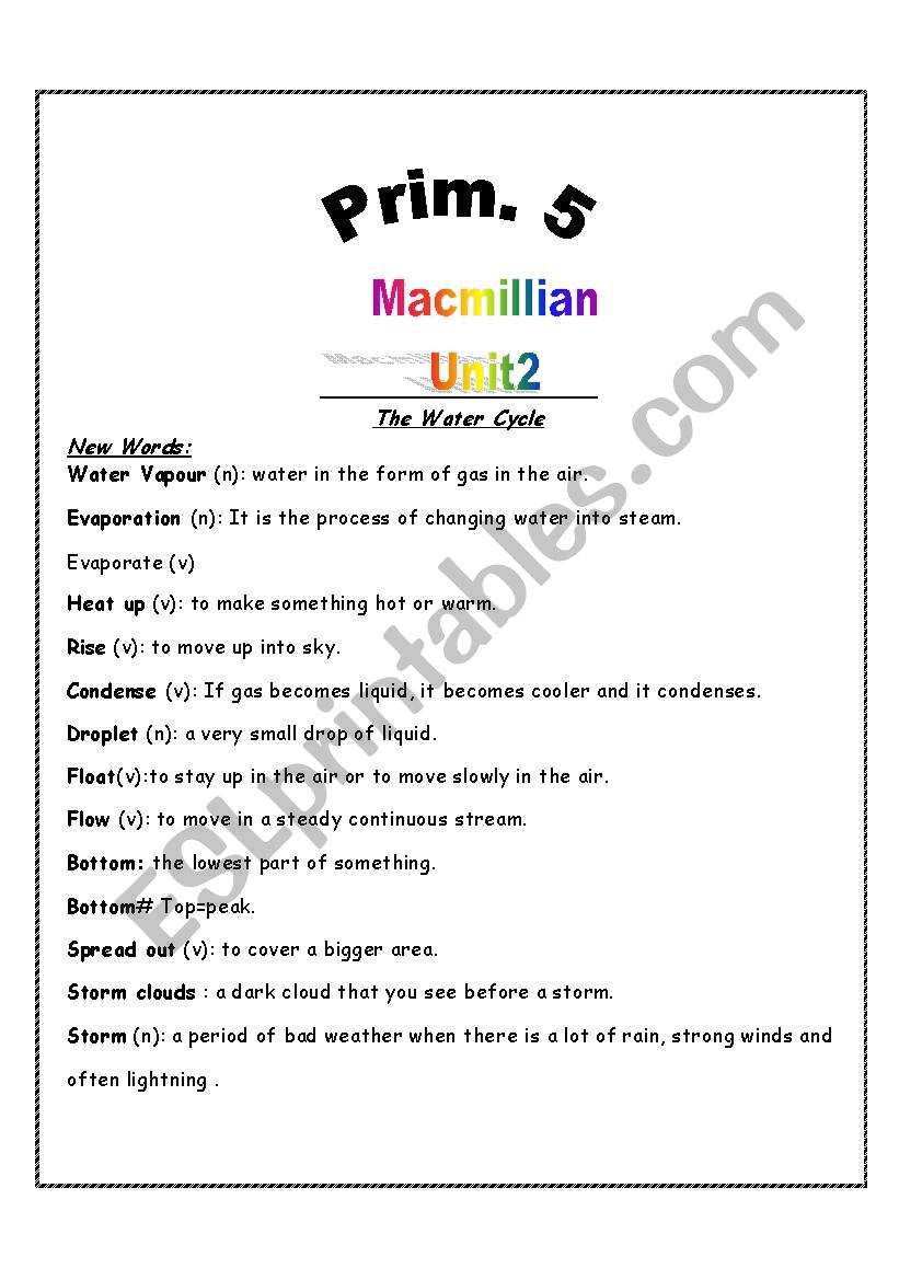 Macmillian unit 2 Primary 5 worksheet