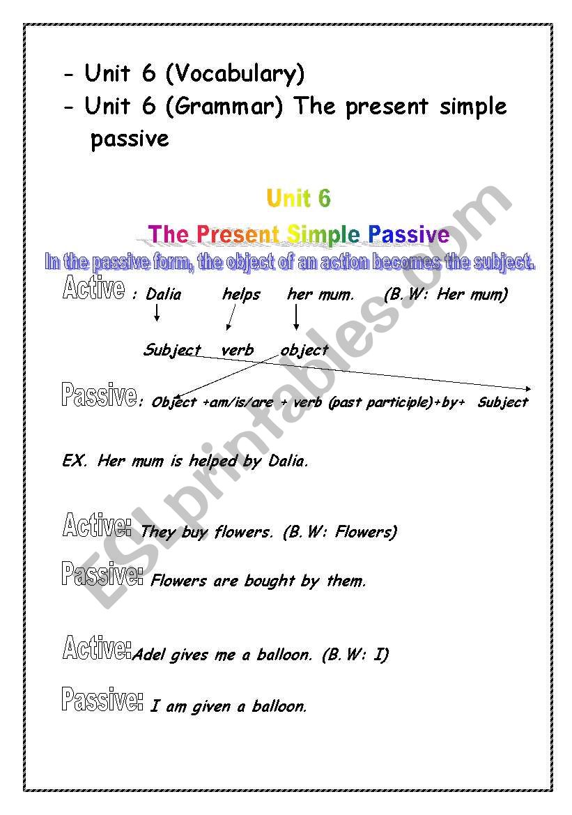 Macmillian unit 6 Primary 5 worksheet