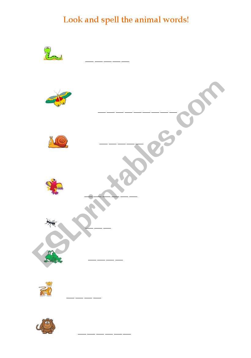 wild animals worksheet