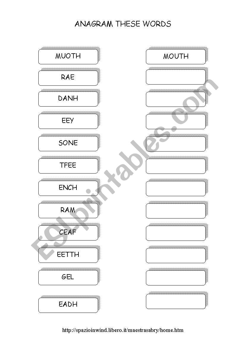 The body worksheet