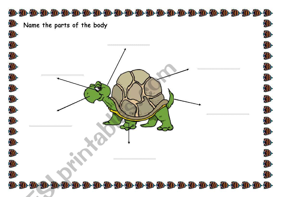 ANIMALS: PARTS OF THE BODY worksheet