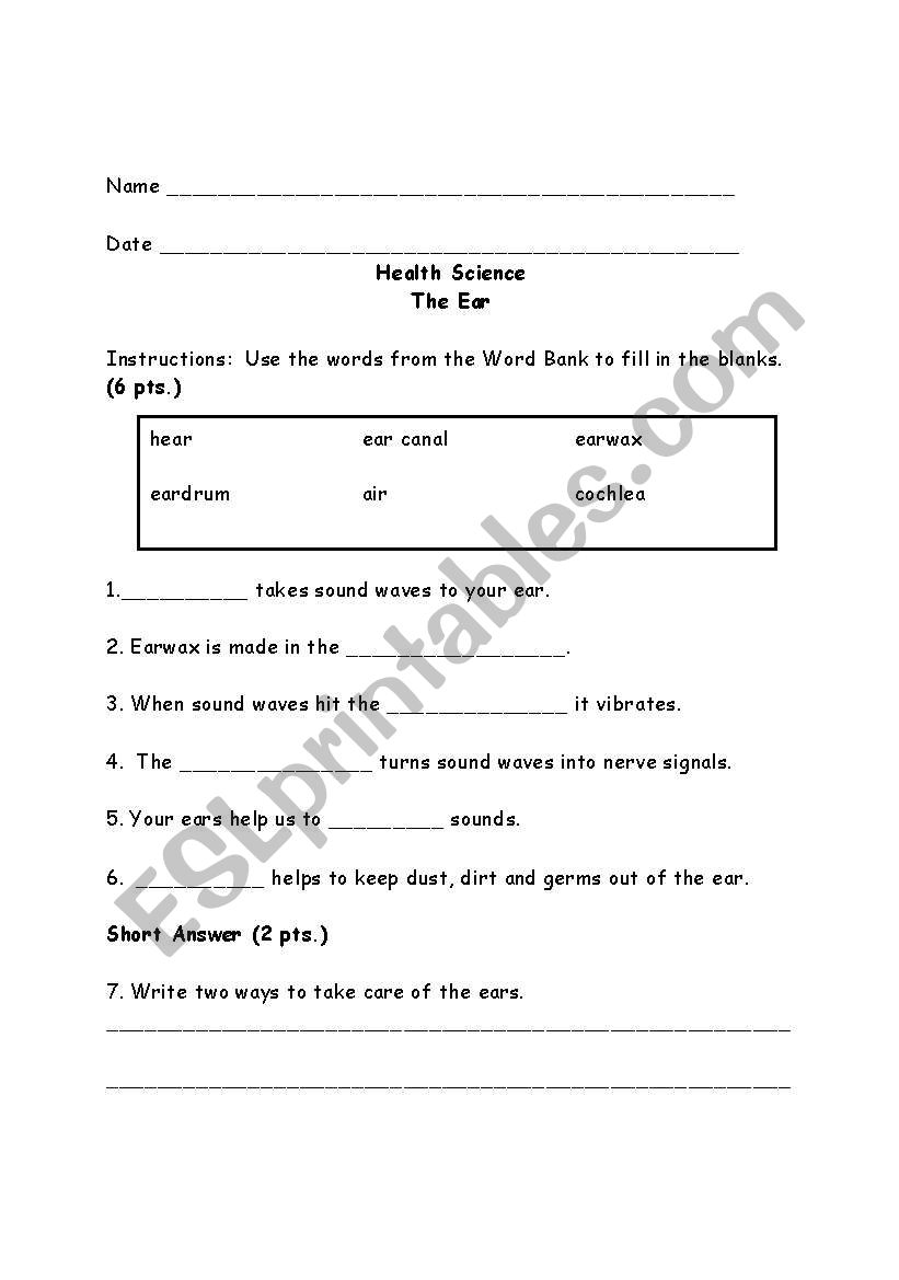 The Ear worksheet