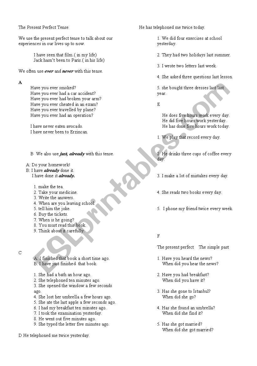 present perfect tense worksheet