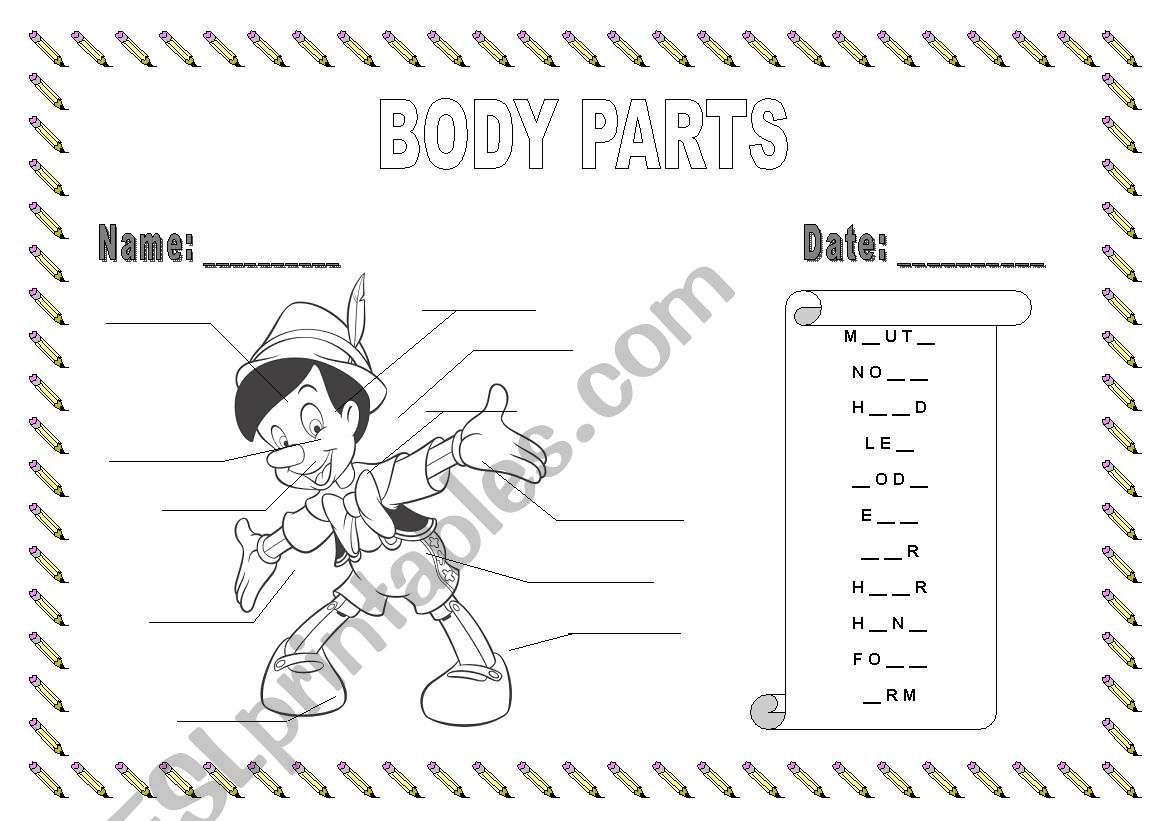 Body Parts worksheet