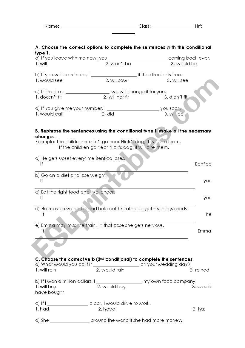 If - Clauses (Type I and II) worksheet