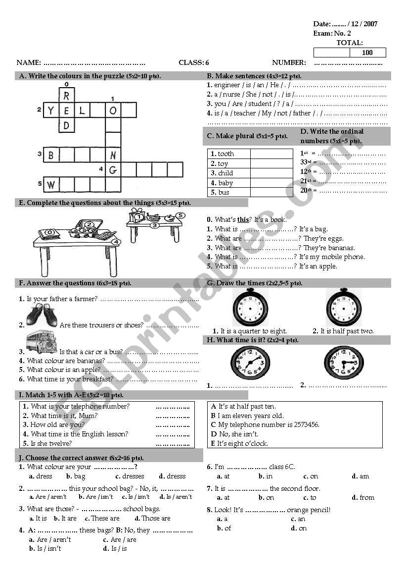 global test for 6th year worksheet